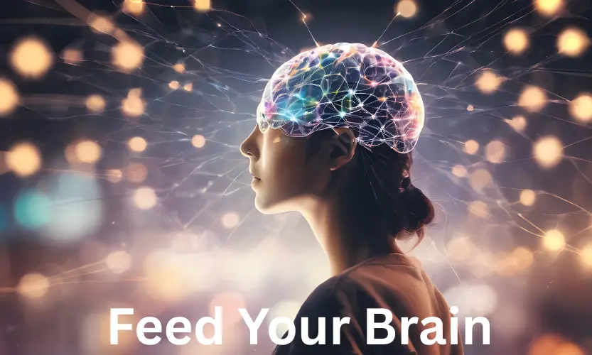 feed your brain